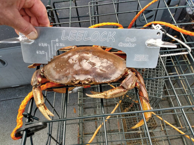 Cleaning Dungeness Crabs with the LeeLock Crab Cracker LeeLock Anchor